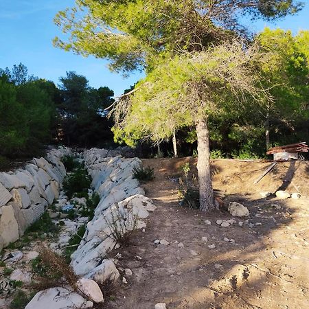 Apartament Costa Rica 2, 150 Meters To The Beach Benidorm Zewnętrze zdjęcie